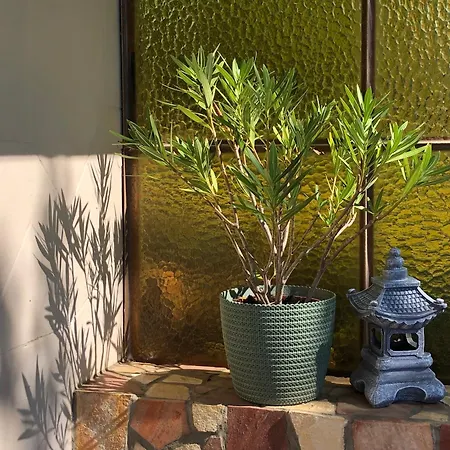 The Boho Vandor Tatil Evi Zalaszanto