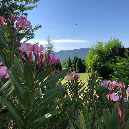 The Boho Vandor Zalaszanto