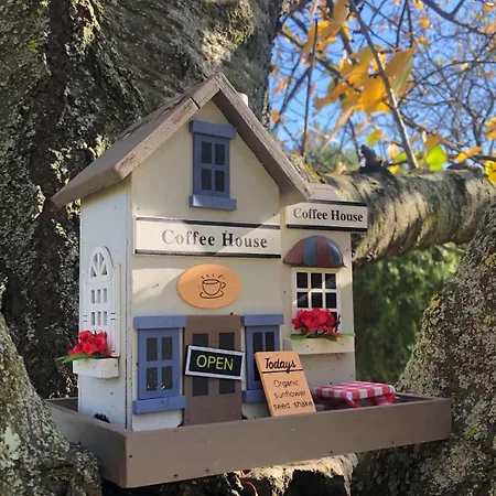 The Boho Vandor Zalaszanto