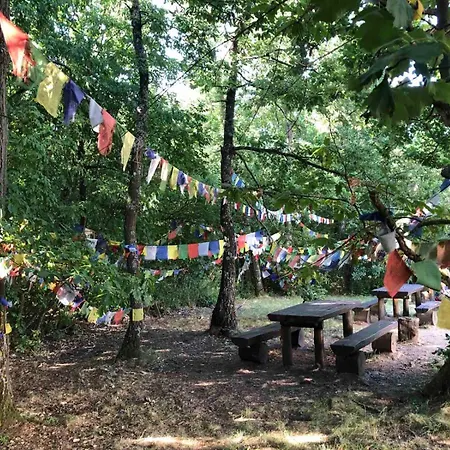 The Boho Vandor * Zalaszanto