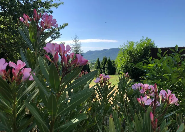 The Boho Vandor Zalaszántó