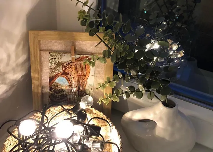 The Boho Vandor 別荘