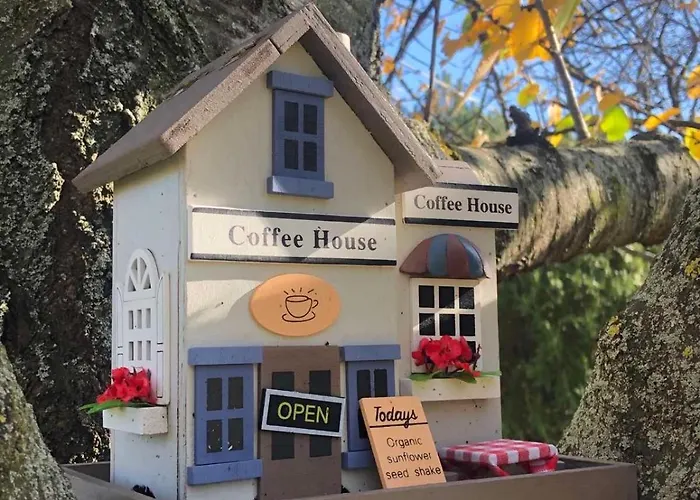 The Boho Vandor Zalaszanto