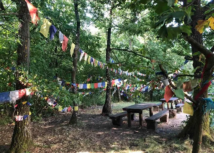 The Boho Vandor * Zalaszanto